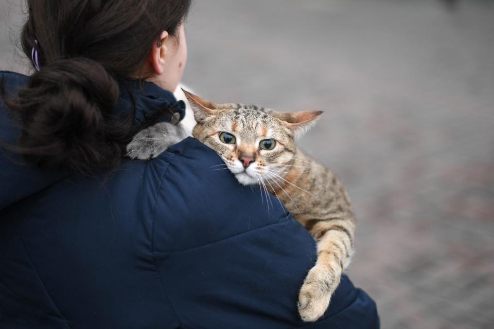 A woman carries her cat as she walks near Kyiv-Pasazhyrskyi railway station in Kyiv in the morning of February 24, 2022.
Air raid sirens rang out in downtown Kyiv today as cities across Ukraine were hit with what Ukrainian officials said were Russian missile strikes and artillery. - Russian President announced a military operation in Ukraine on February 24, 2022, with explosions heard soon after across the country and its foreign minister warning a 