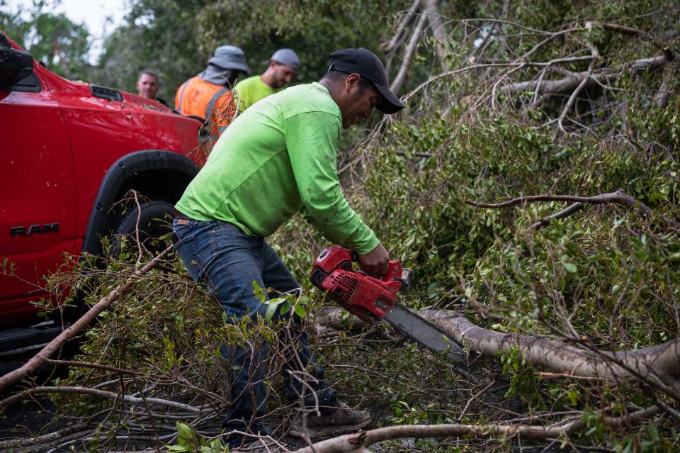 A worker uses a chainsaw to cut a fallen tree in the aftermath of a Saturday evening tornado at Sanctuary Cove on Sunday, April 30, 2023, in North Palm Beach, Fla. The National Weather Service confirmed an EF-2 tornado touched down in Palm Beach Gardens Saturday evening.