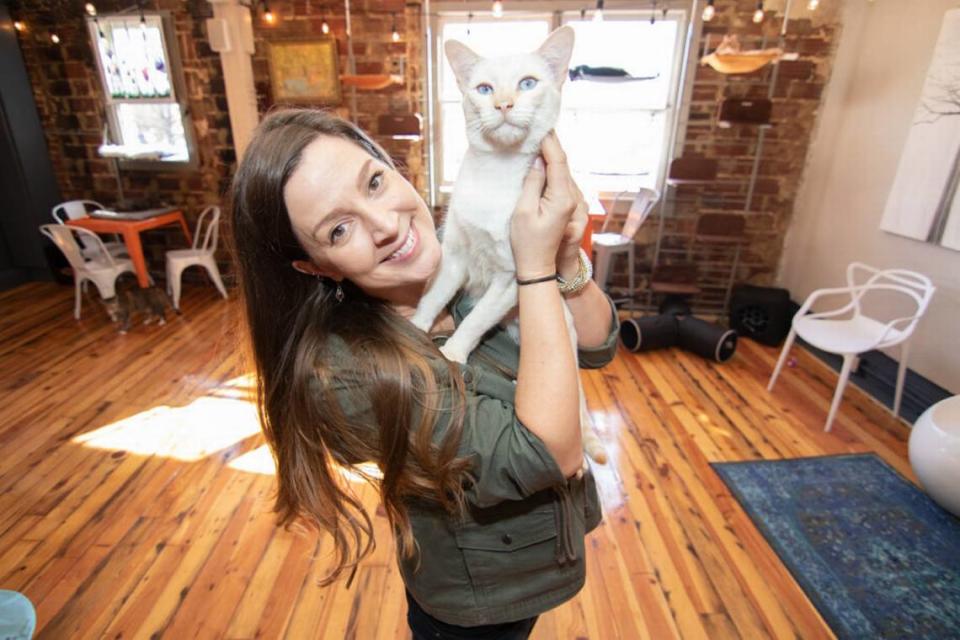 Mac Tabby Cat Cafe owner Lori Konawalik at the NoDa cafe.