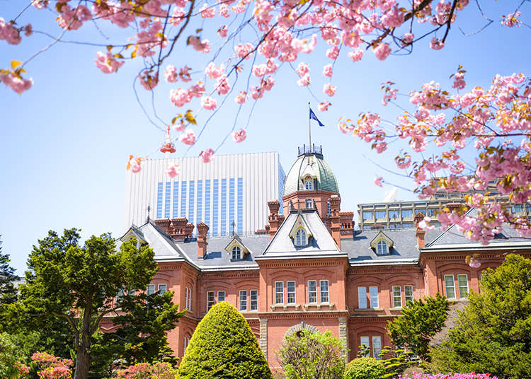 2023 Sapporo Cherry Blossom Guide: The Top Spots for Sakura Viewing and Dates