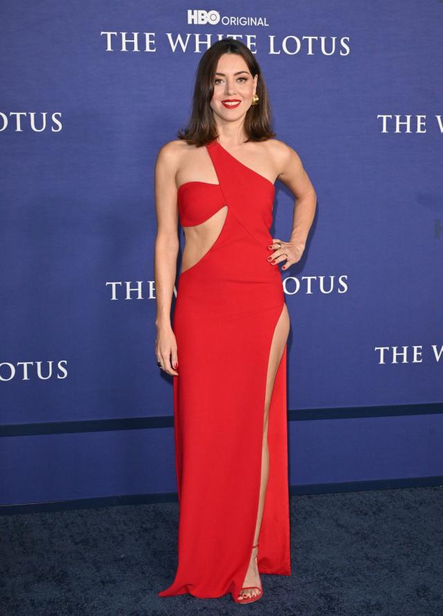 Aubrey Plaza At SAG Awards 2023: See Her Cutout Dress – Hollywood Life