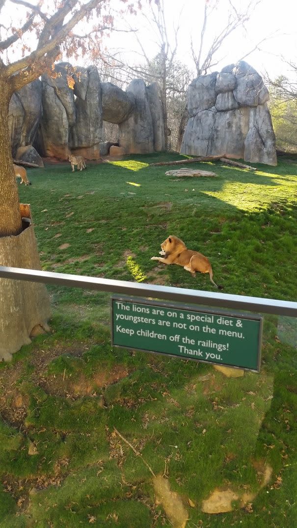 <p>Was auf diesem Schild steht? Ein Ernährungshinweis! „Die Löwen halten eine spezielle Diät und Kinder stehen nicht auf ihrem Speiseplan. Halten Sie Kinder von der Brüstung fern! Danke.“(Bild: reddit / SweetestSummer) </p>