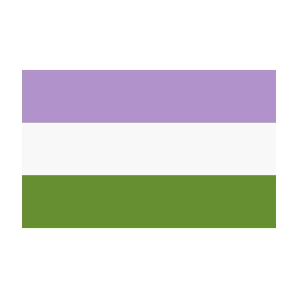 pride flag meanings genderqueer pride flag