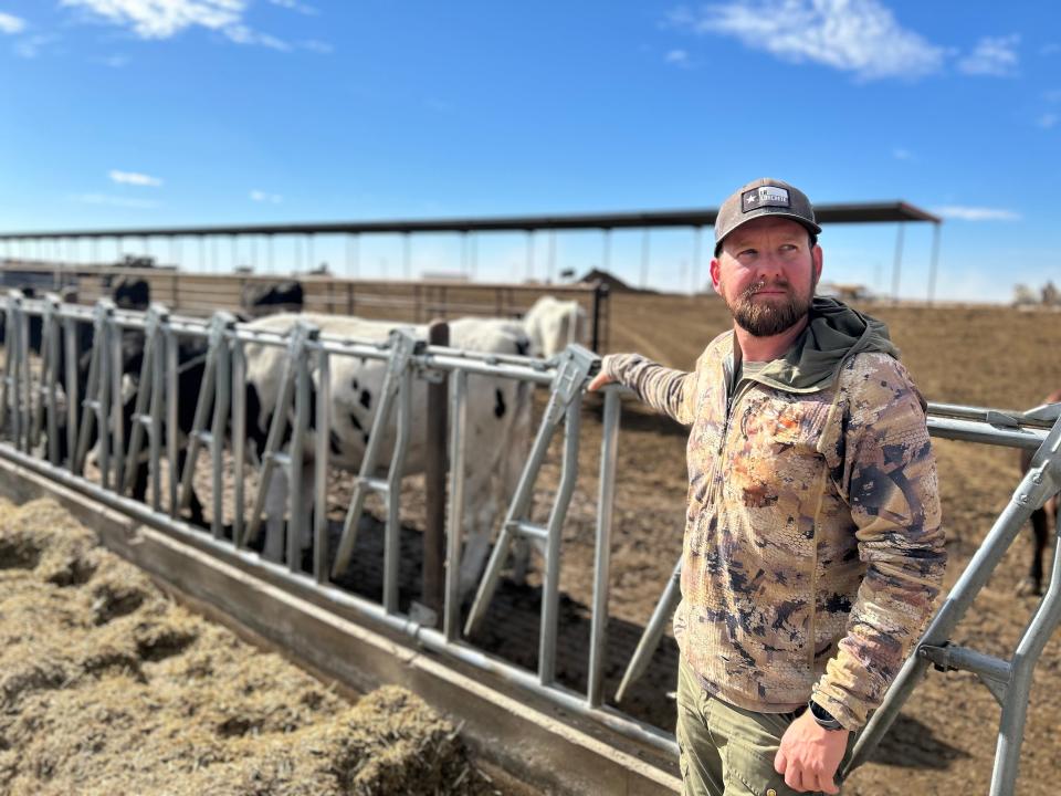 Ezra Linzer, manager at South Fork Dairy, stands next to some of the dairy's cows.