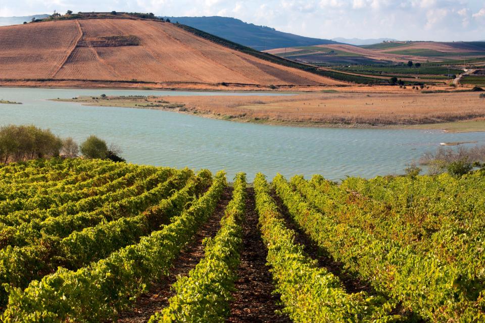 Sambuca, Italy. (Photo: Riccardo Lombardo/REDA&CO/UIG via Getty Images)