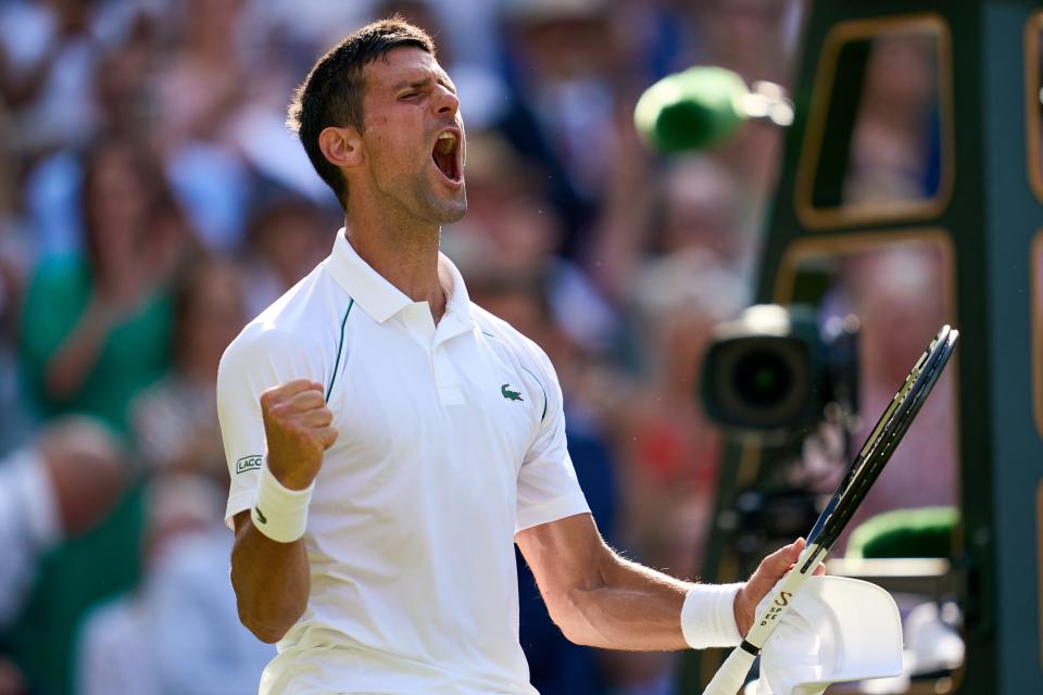 Novak Djokovic faces Nick Kyrgios in the Wimbledon men's final.