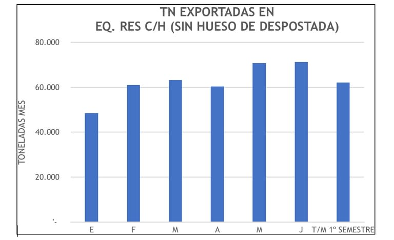 Toneladas de carne exportadas en el primer semestre del año