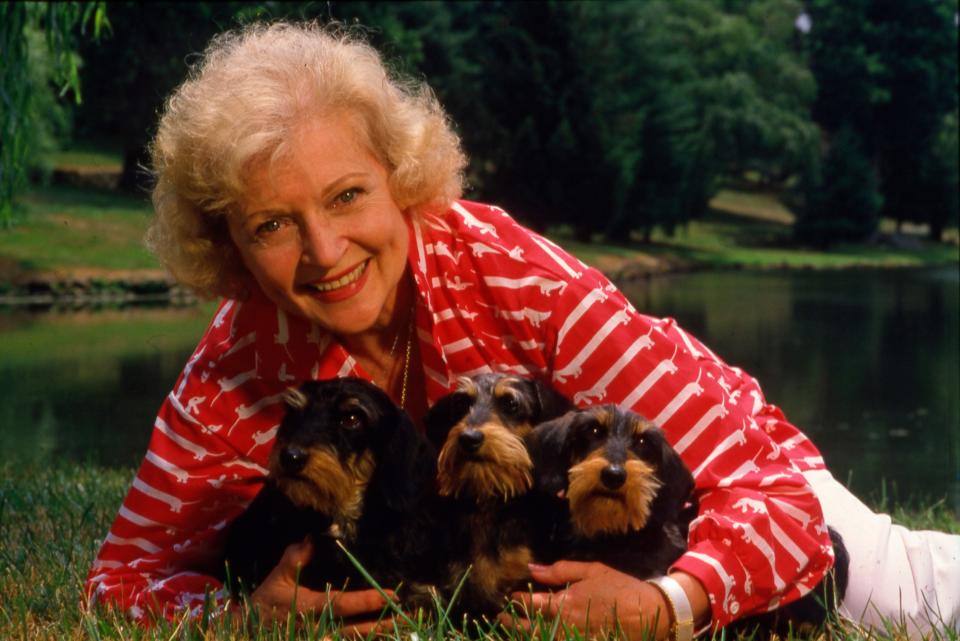 Actress Betty White, pictured here in 1986, was known for her love for animals as well as her legendary acting career. Her death on Dec. 31, 2021 at age 99 sparked a fundraising campaign called the #BettyWhiteChallenge. The campaign, held in honor of her 100th birthday on January 17, has raised millions of dollars for animal welfare organizations nationwide.