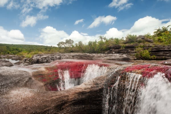 急流與瀑布也讓河床產生許多大大小小的坑洞。（圖片來源／CAÑO CRISTALES）