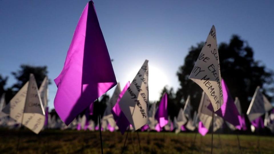 SLO Bangers created a heart of flags at Mitchell Park on Aug. 31, 2022, with white representing local overdose reversals and lives saved and purple representing fatal drug overdoses.