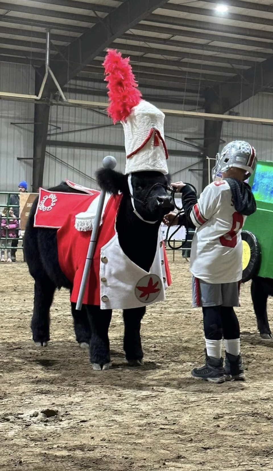 Wayne County 4-H member Owen Bailey dressed his steer Zeus up as an Ohio State University Marching Band Drum Major for the Clark County Cattle Battle.