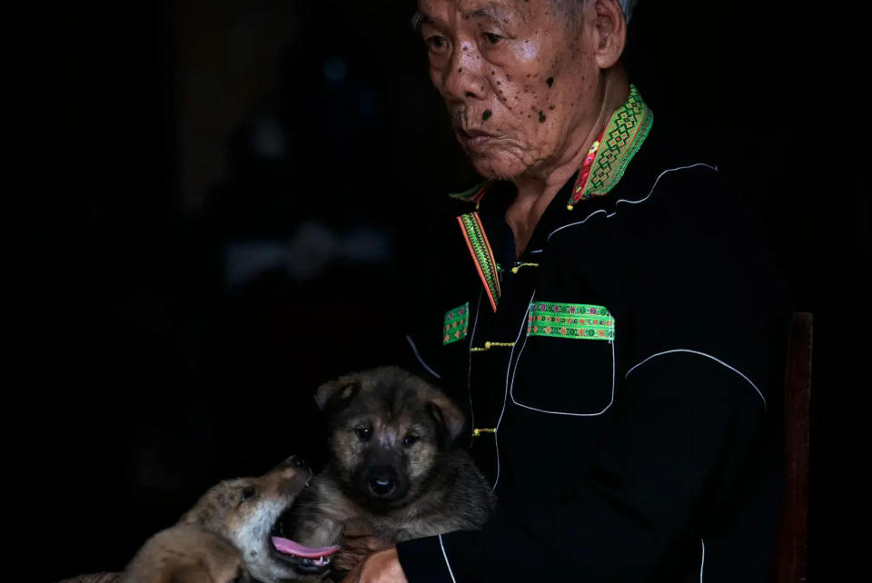 Foto: La carne de perro es un producto muy consumido por la población adulta mayor/ Tras Nam Trung/ Pexels