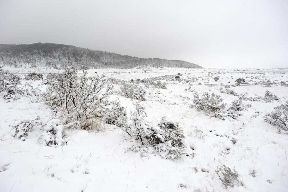 Snow at the Kosciuszko National Park in NSW where more is expected to fall this week. source: AAP