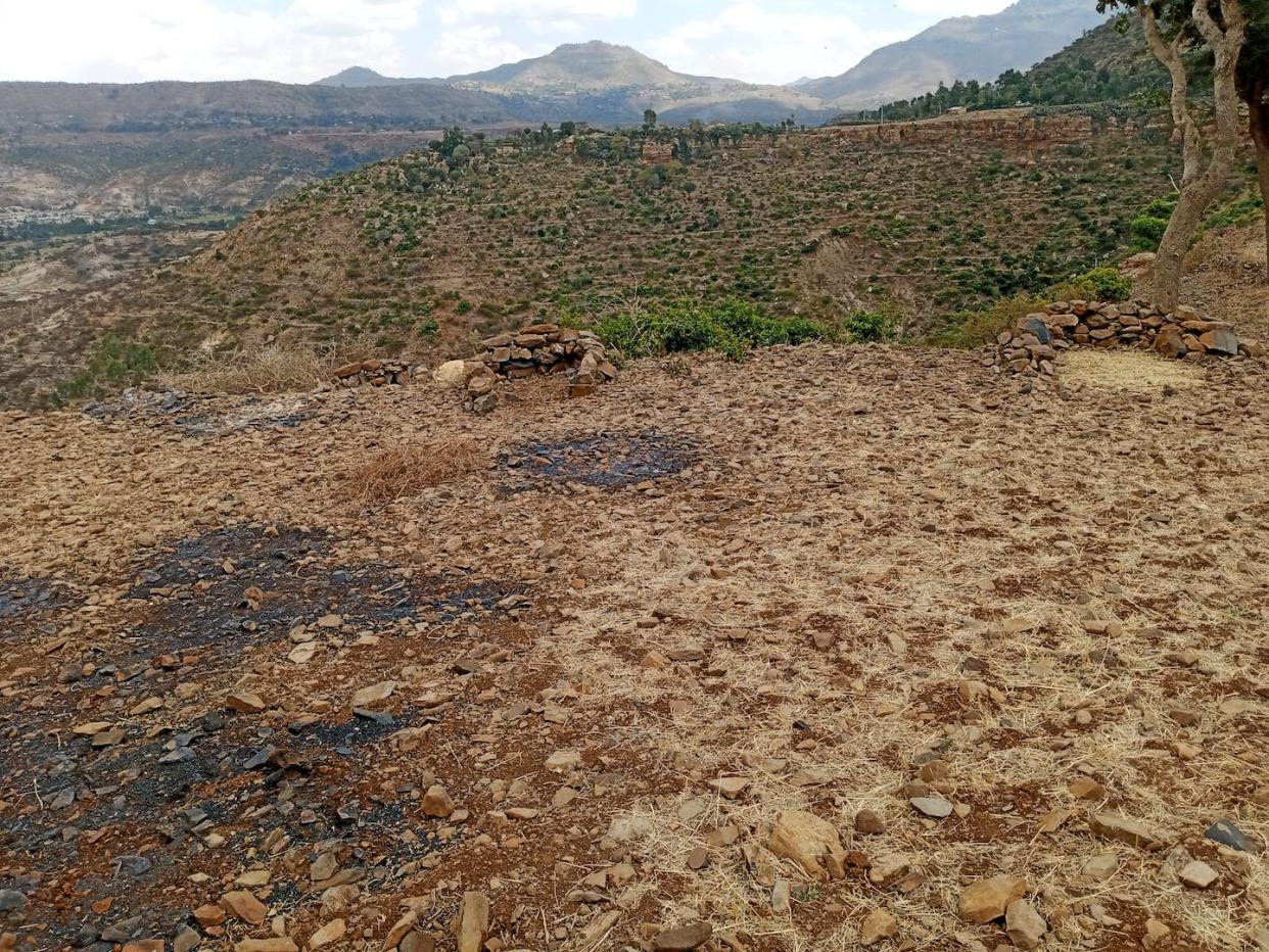 Farmland razed by Eritrean soldiers at a village in Ahferom district, Central zone, Tigray. Abrha Brhan Gebre/with permission