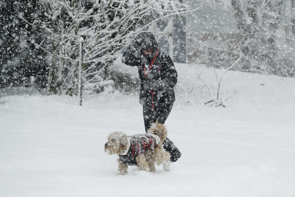 <p>A woman walks her dog during a winter storm on March 7, 2018, in Springfield, Pa. (Photo: Matt Slocum/AP) </p>