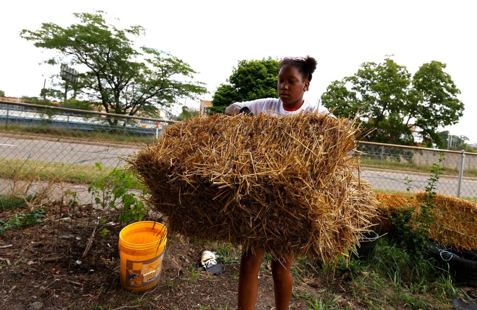 Jayden May, 13, of Westland, moves a bay of straw that would be used to cover the ground to help trap moisture around various produce growing in the garden of Sheila Finney, of Detroit, during Neighborhoods Day, part of ARISE Detroit in the city on Aug. 6, 2022. Finney, who tends to the garden at the Rosa and Raymond Parks Institute for Self Development on Spokane Avenue, was teaching them about planting, weeding and the best ways to grow various kinds of produce.