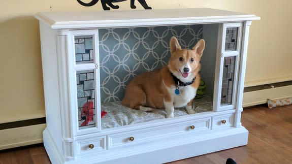 Genius pet owner turned old-school TV into posh dog bed