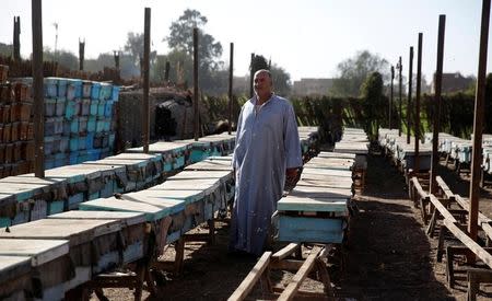 Rayhan Meligy, an Egyptian beekeeper, walks around damaged beehives in his farm at Shibin El Kom, Al- Al-Monofyia province, northeast of Cairo, Egypt, Egypt November 30, 2016. Picture taken November 30, 2016. REUTERS/Amr Abdallah Dalsh