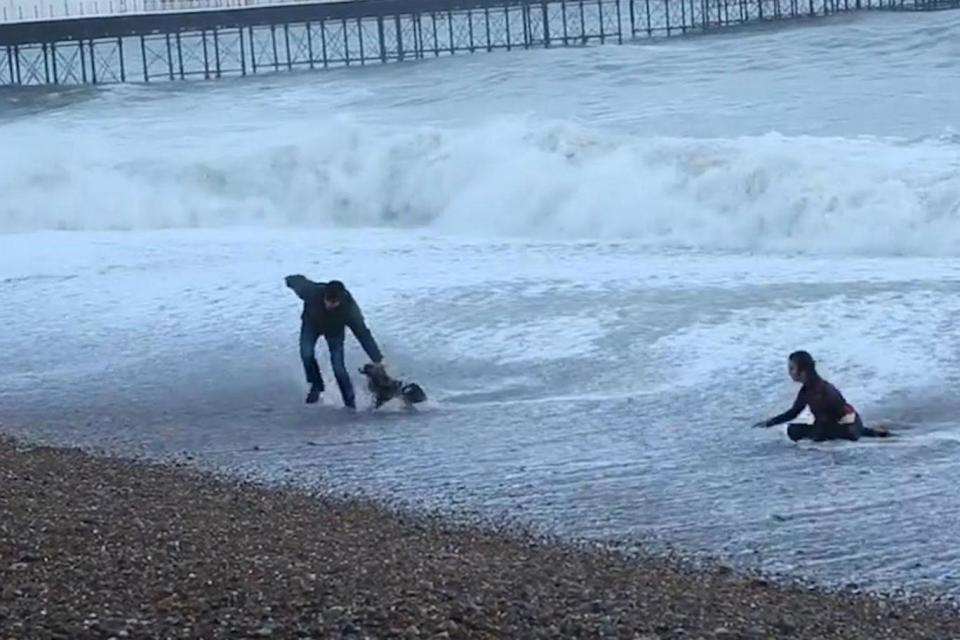 The woman and the dog eventually made it safely back to shore (SWNS)