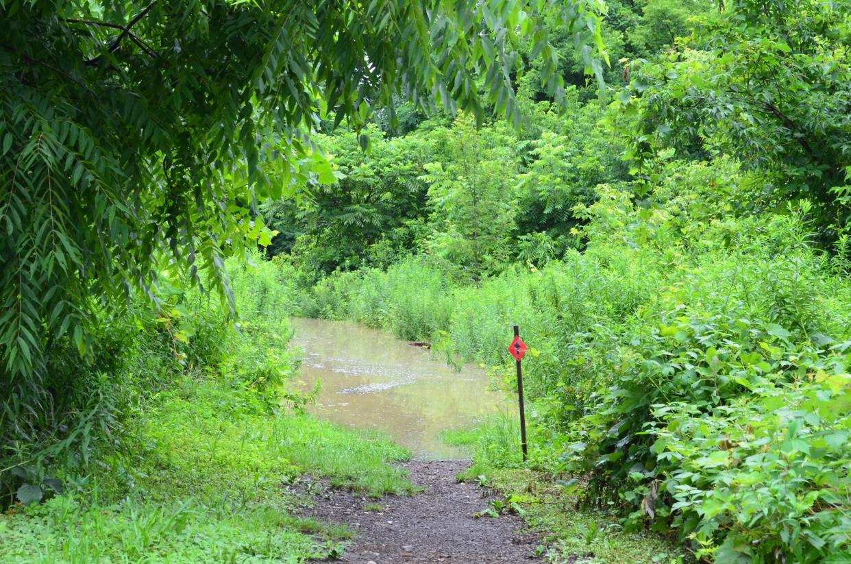 A hiking path at the Intervale Center is seen flooded from heavy rains July 11, 2024.