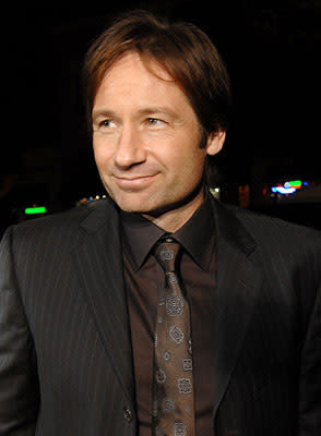 David Duchovny at the Los Angeles premiere of DreamWorks Pictures' Things We Lost in the Fire