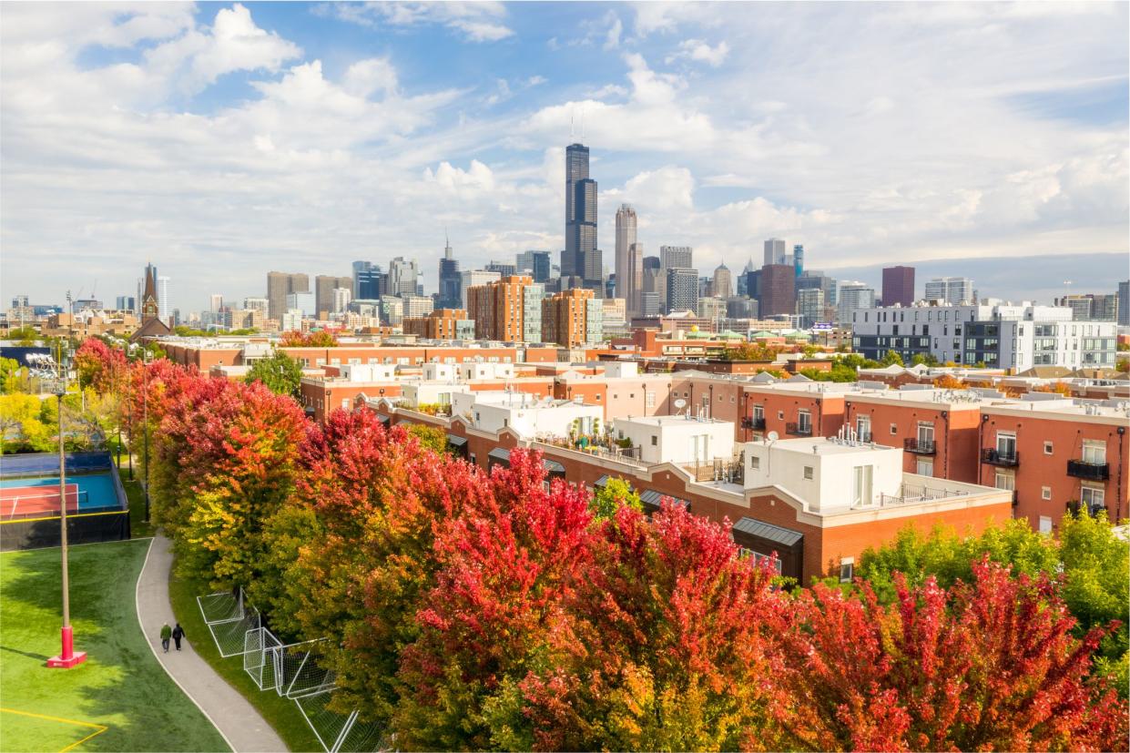 Aerial view of Chicago and downtown in fall, colorful trees on a sunny day