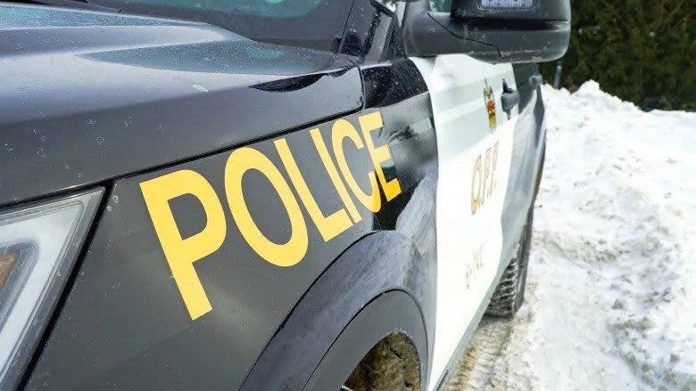 An OPP cruiser pictured in a January 2024 file photo.  (Teghan Beaudette/CBC - image credit)