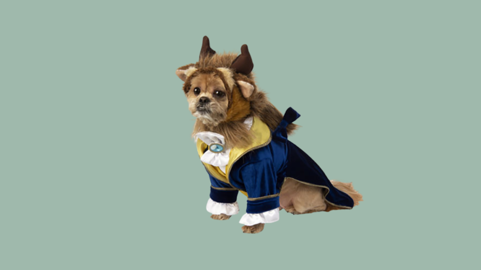 Popular Dog Costumes: Halloween Costumes Beast Pet Costume