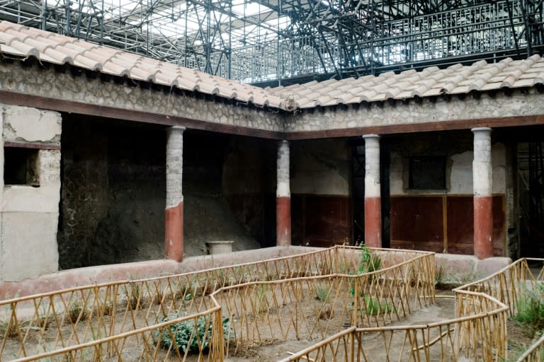 Visitors to Pompeii will be able to snatch a rare glimpse of the House of the Chaste Lovers, a rich baker's home, until February 14 when it closes again for a four-year restoration