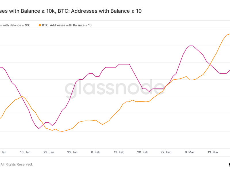 (Glassnode)