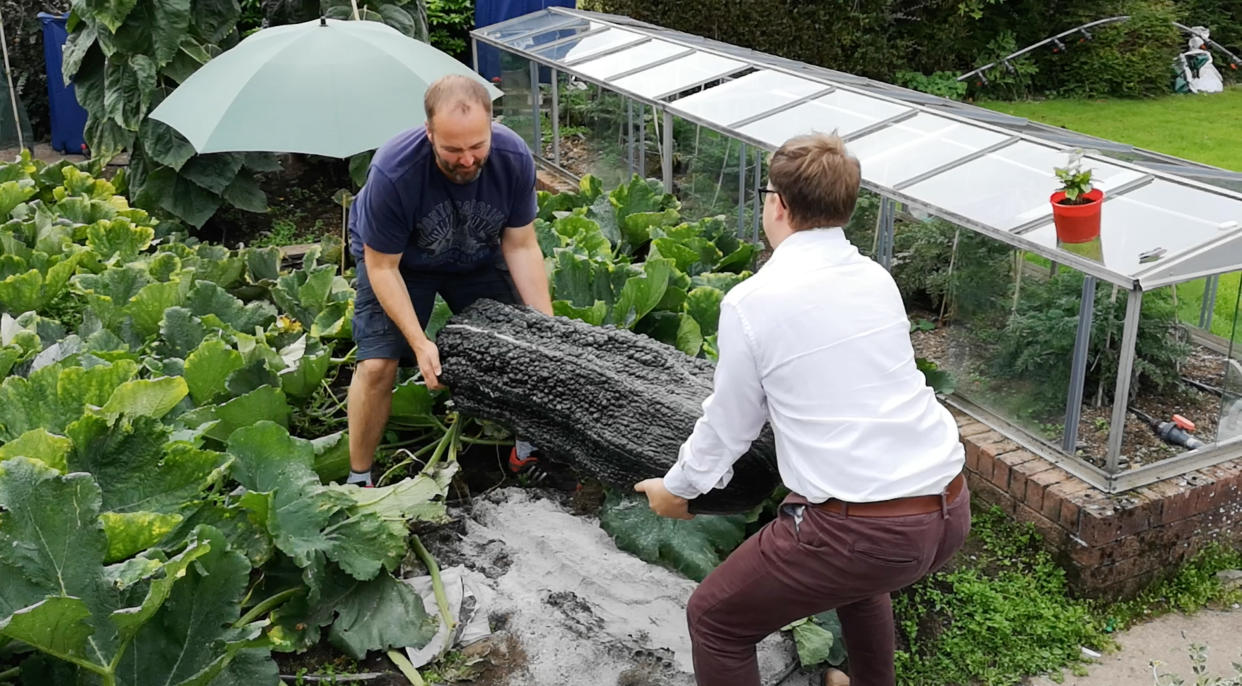 It takes two people to lift the giant marrow (Caters)