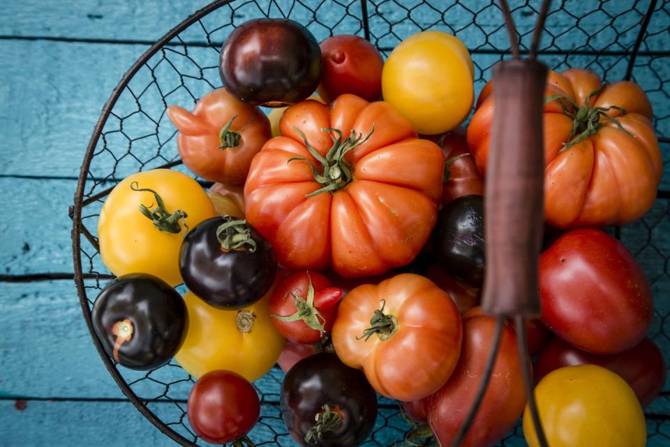 heirloom tomatoes in basket