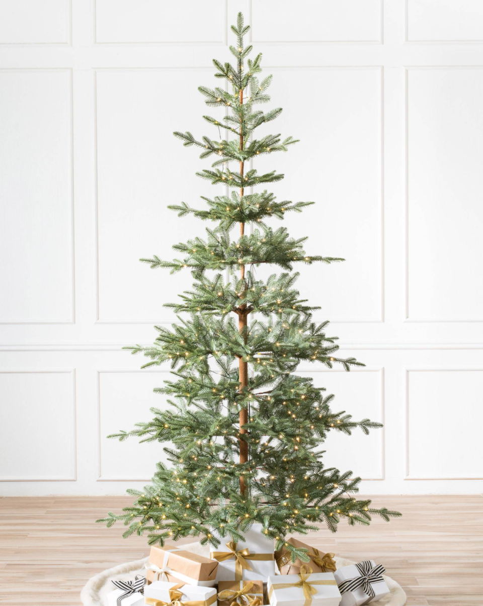 Alpine Balsam Fir Tree