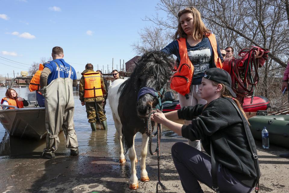 Local residents prepare their pony to cross a flooded area by boat in Orenburg, Russia, Thursday, April 11, 2024. Russian officials are scrambling to help homeowners displaced by floods, as water levels have risen in the Ural River. The river's water level in the city of Orenburg was above 10 meters (33 feet) Wednesday, state news agency Ria Novosti reported, citing the regional governor. (AP Photo)