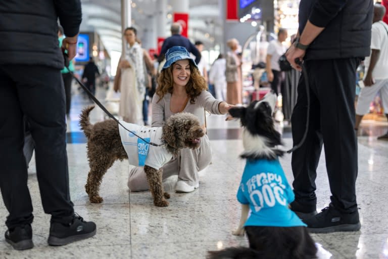 Une voyageuse caresse Alita et Kuki, des chiens de thérapie pour réconforter les passagers stressés avant leur embarquement à l'aéroport d'Istanbul, le 3 mai 2024 en Turquie (Yasin AKGUL)