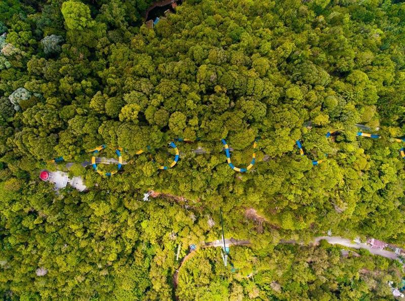 「世界最長滑水道」綿延在叢林中。（檳城環球旅遊局提供）