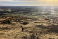 In this Oct. 22, 2019, photo, E.J. Brandt and David Benscoter, amateur botanists with The Lost Apple Project, walk toward an orchard in the Steptoe Butte area near Colfax, Wash. Trees in the orchard are among hundreds currently being studied by the pair, who have rediscovered at least 13 long-lost apple varieties in homestead orchards, remote canyons and windswept fields in eastern Washington and northern Idaho that had previously been thought to be extinct. (AP Photo/Gillian Flaccus)