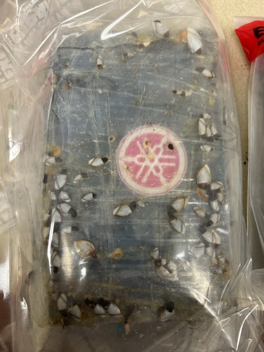 One of three packages of cocaine that recently washed ashore in Florida. (Walton County Sheriff’s Office)