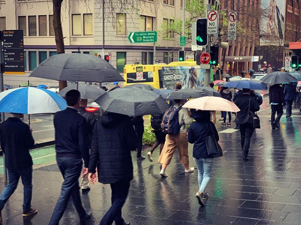 Pictured are commuters  under their umbrellas in Sydney's CBD.