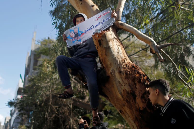 A Palestinian boy climbing a tree holds a banner reading "Deal of Century is a dagger in the waist of Muslims" during a protest against the U.S. President Donald Trump's Middle East peace plan, in the northern Gaza Strip