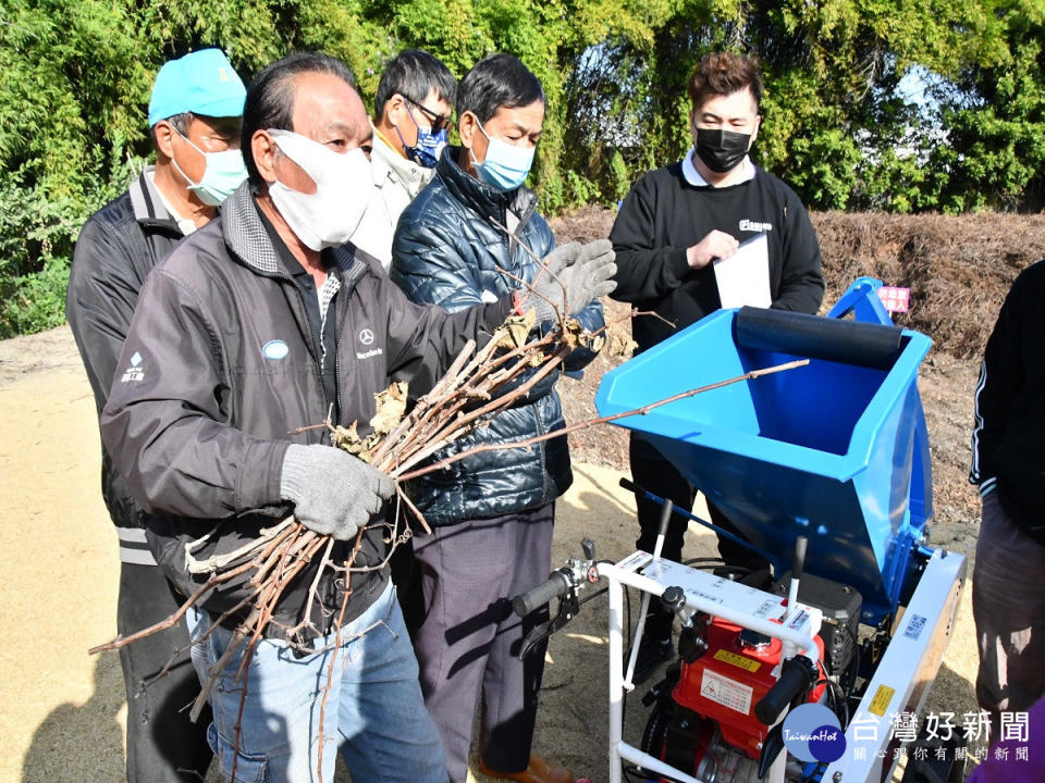 用廢棄葡萄藤枝條濁水溪抑制掦塵　一舉數得環保循環再利用