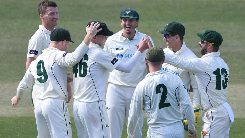 Tasmanian players, pictured here celebrating a wicket against NSW in the Sheffield Shield.