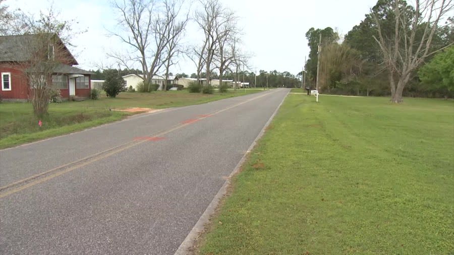 A stretch of road in Baldwin County where an Elberta third-grader was hit by a car that allegedly fled the scene.