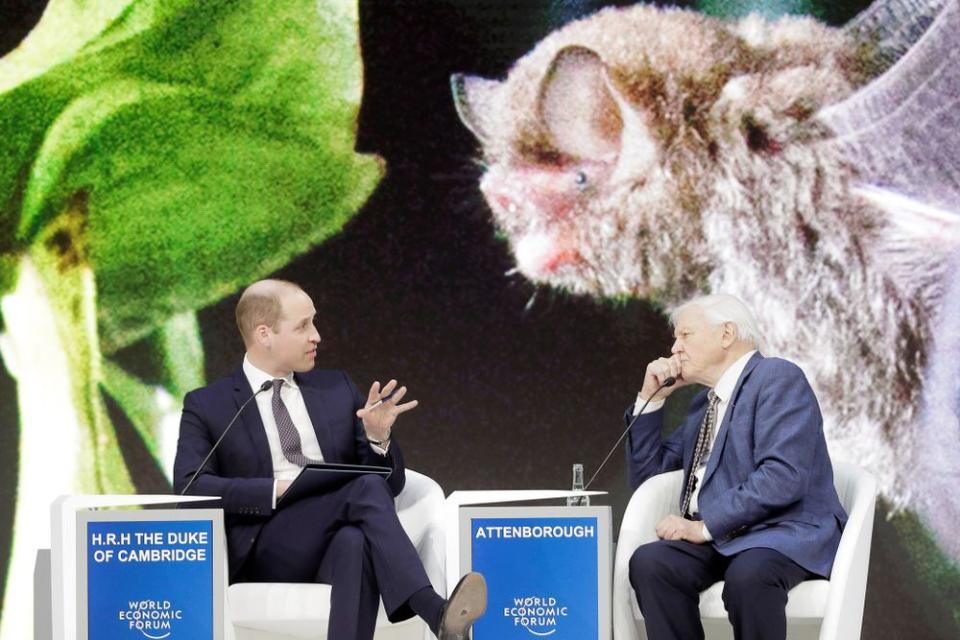 Prince William and Sir David Attenborough in January 2019. | Markus Schreiber/AP/REX/Shutterstock