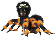 <p>Finally! Some good PR for spiders. </p> <p><strong>Buy it!</strong> Pet Spider Pup Costume, $31.75; <a href="https://www.amazon.com/California-Costumes-Collections-PET20149-Costume/dp/B01E0DXKGS/ref=as_li_ss_tl?ie=UTF8&linkCode=ll1&tag=polifemostpopulardogcostumeskbenderoct20-20&linkId=9737624adbf09087d1736b63965de4ba" rel="nofollow noopener" target="_blank" data-ylk="slk:Amazon.com;elm:context_link;itc:0;sec:content-canvas" class="link ">Amazon.com</a></p>