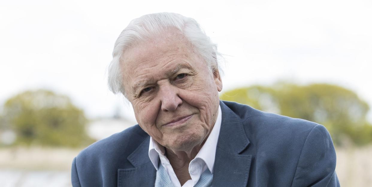 david attenborough