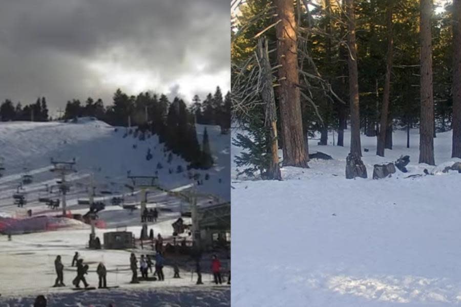 ¡Cae la nieve! Estos son algunos lugares en los que está nevando en California