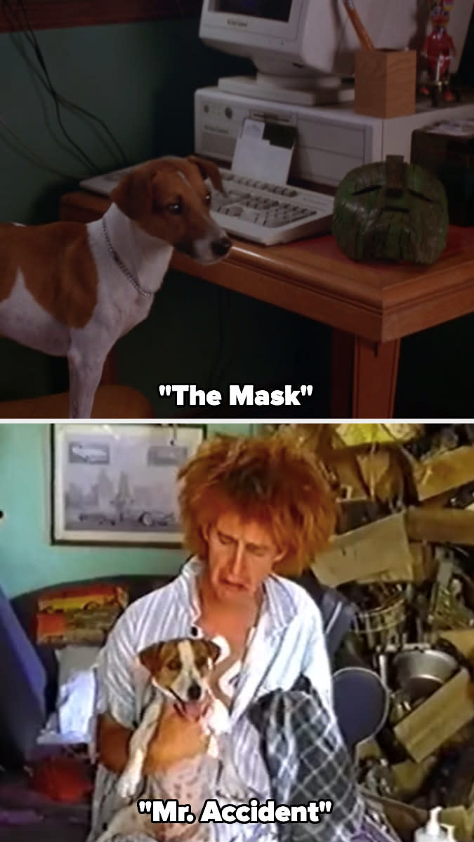 Max, a Jack Russell Terrier, in "The Mask" and "Mr. Accident"