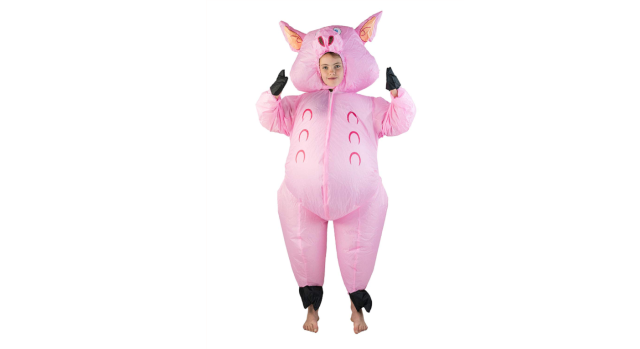 Inflatable Flamingo Costume – Bodysocks US