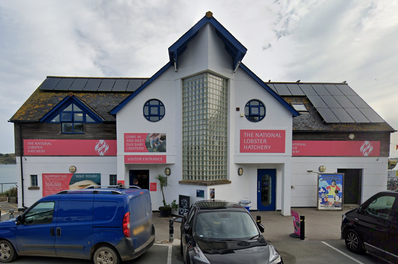 The National Lobster Hatchery in Padstow (file photo)